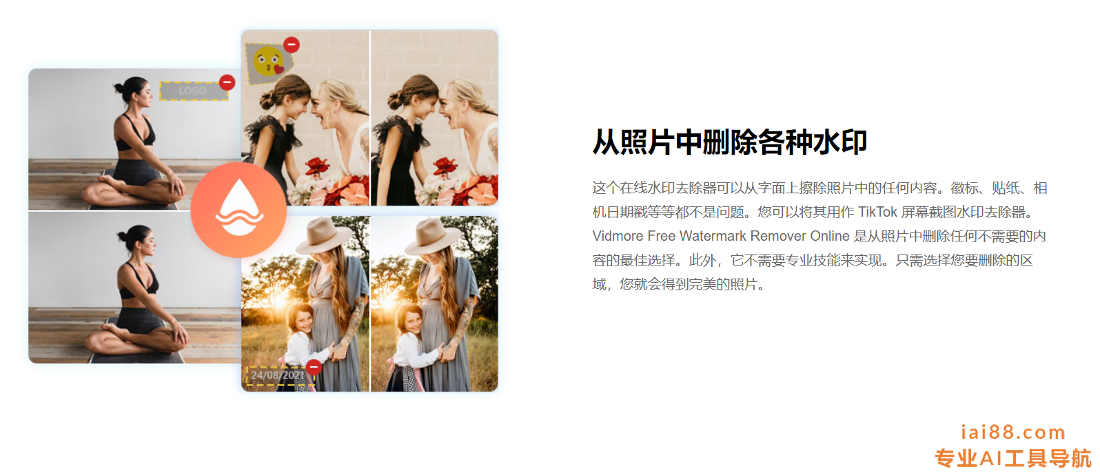 Vidmore-免费去水印